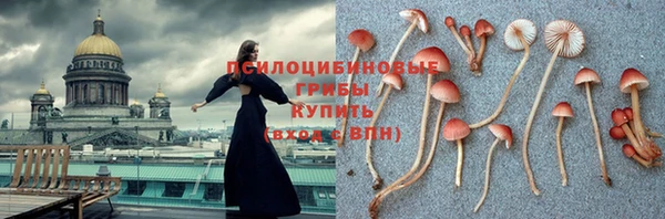 кокаин Богданович